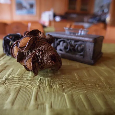 Gasthaus Zur Traube Inn