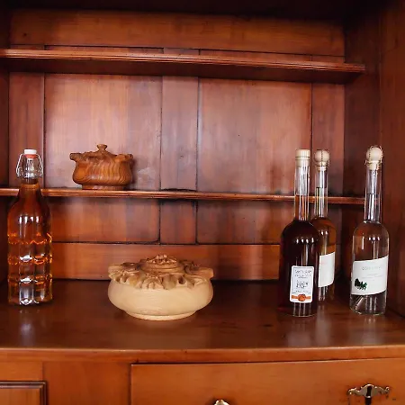 Penzion Gasthaus Zur Traube