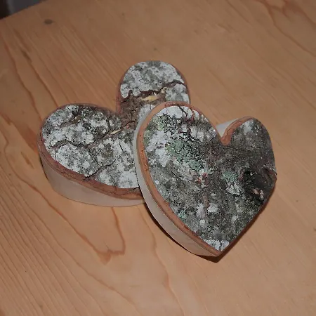 Gasthaus Zur Traube *